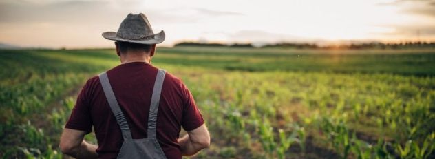 man in the field