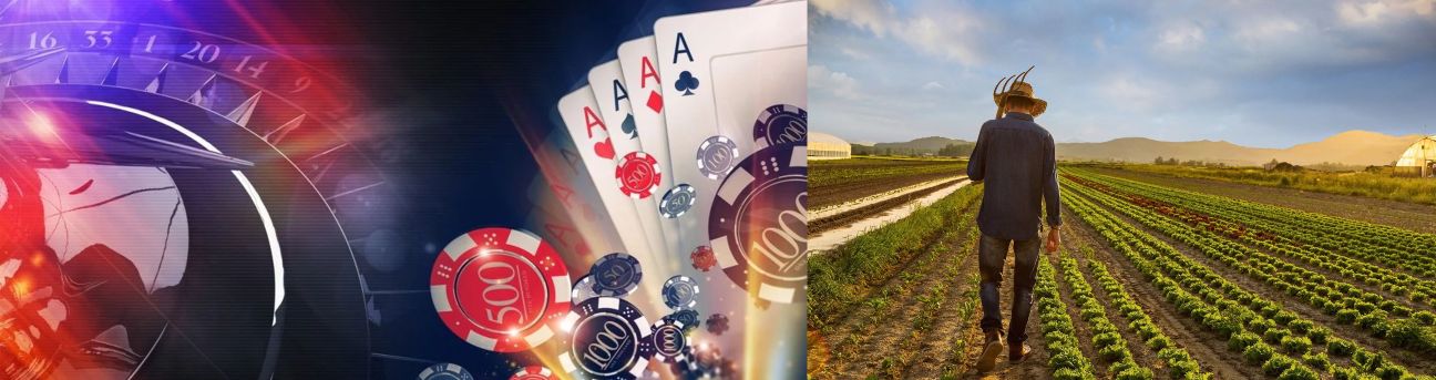 online casino and farmer